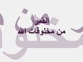 شاهدوا الفضيحة التى تكشف تلاعب القس زكريا بطرس بعقول الملايين من النصارى وتعلموا كيف يستغل القس البهلوان جهل ضحاياه بالاسلام والقران وكيف يفترى على الله الكذب والبهتان؟..دعوة لوقفة مع النفس يا كل ضحية من ضحايا خداع القساوسة والرهبان وأكاذيبهم