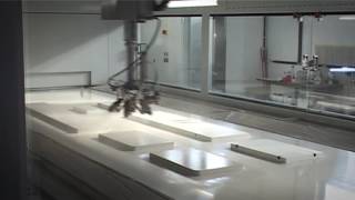 Автоматическая распылительная линия Cefla с роботом-автоматом iBotic и сушильной системой