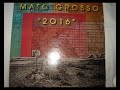 Mato Grosso - Jungle (1993 House remix)