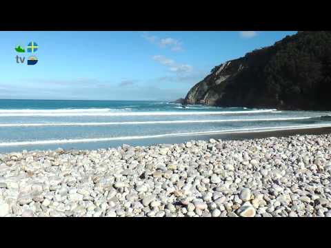 Playa de La Concha de Artedo