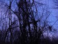 Chippewa Lake Park