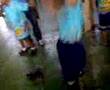 Qool