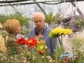 Clicca per visualizzare il video : Liveland: a SpazioModerno la seconda edizione di Florarte