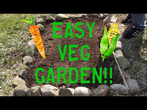how to grow vegetables in a small garden
