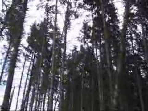 Kirkhill Forest Aberdeenshire