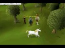 how to make 100mil on runescape