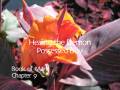 videos de Book of Mark Chapter 9.mp4