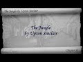 Chapter 12 - The Jungle by Upton Sinclair