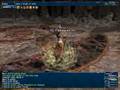 RDM Maat Fight