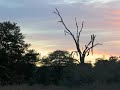 TRAMONTO - KRUGER NATIONAL PARK (SUDAFRICA)