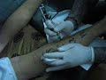 MI TATTOO FRAN MI TATTOO FRAN