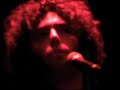 The Black Swans - Coats