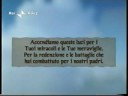 Hannerot.wmv