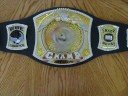 WWE Championship Spinner Black Version