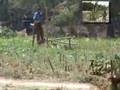 IDEI, India, Low-cost treadle pumps for irrigation