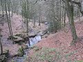 Top of the Waterfall in the Ravine