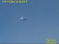 Duck hawking with peregrine falcon 2007