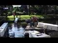 Brug RTVOost