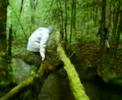 travers� de la riviere