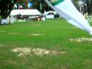 Valores Jacinto show jumping