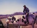 You're a Wonderful Cow, My Best Friend Black Spot!