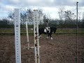 Galopp Galopp