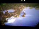 eragon-ps2.html
