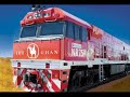 ラクダ動画