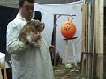 how to kill a spacehopper no.29 - well hung how to kill a spacehopper no.29 - well hung
