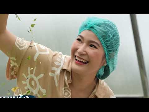 สระแก้ว เมืองสมุนไพร พลังแห่งธรรมชาติและภูมิปัญญาท้องถิ่น