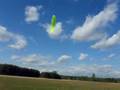 Pansh W5-D Prototype Kite