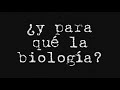 Mecatr�nica!!!