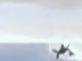 Digital Video from the Strait of Hormuz