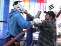 WILDCARD SPARRING 