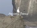 Vangelis - Aquatic Dance