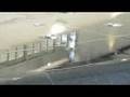 Birds-in-Detroit-Air