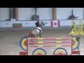 Jumping Star Kellandaise