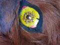 On sale: Make A Beast Mask, $7 USD