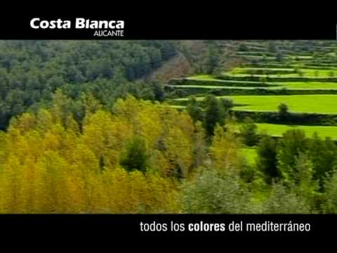 Imagen de previsualización de YouTube