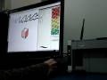 Wacom Bamboo MTE-450 - Demonstrativo