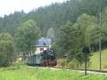 Zu Gast im Preßnitztal II