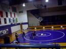 wrestliong