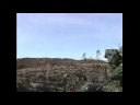 Dumme Armee Dumme Armee