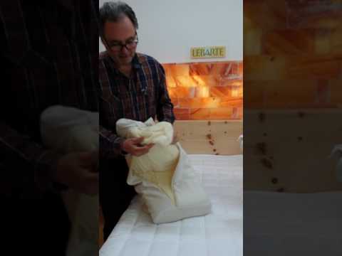 Das richtige Kissen ...