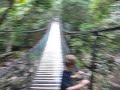 Mossman Gorge