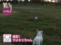 いつも心にガルマルを。#005