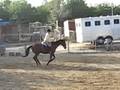 Jumping Expo