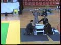 pham xuan tong - qwan ki do master pham xuan tong - qwan ki do master