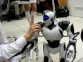 ROBOTUKAI  EGLE JURGAITYTE ROBOSAPIEN video