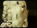 Pleo, the early days. Clip 09
